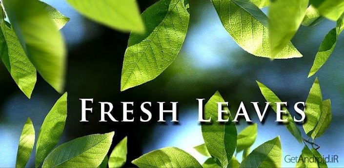 دانلود Fresh Leaves v1.8 - لایو والپیپر برگ برای اندروید