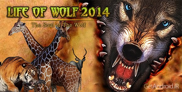 دانلود Life Of Wolf 2014 v1.5 - بازی زندگی گرگ برای اندروید