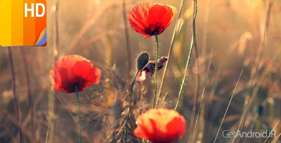 دانلود Premium Wallpapers HD 4.3.8 - برنامه دسترسی به والپیپرهای با کیفیت برای اندروید