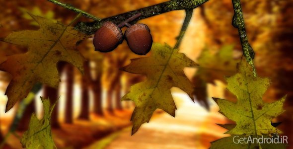 دانلود Autumn Leaves in HD Gyro 3D XL 1.1 - لایو والپیپر برگهای پاییزی برای اندروید