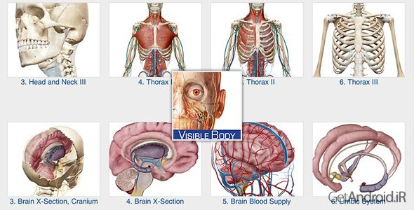 دانلود Human Anatomy Atlas from Visible Body 7.4.03 - برنامه بینظیر اطلس آناتومی انسان برای اندروید + دیتا