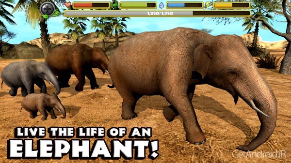 دانلود Elephant Simulator 1.2 بازی شبیه سازی فیل برای اندروید
