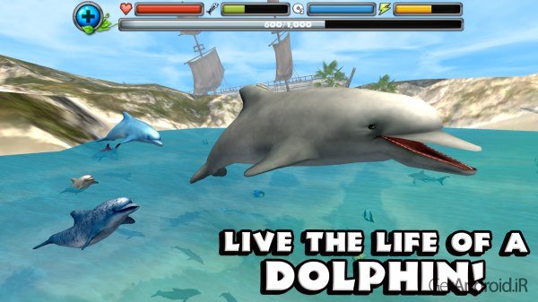 دانلود Dolphin Simulator v1 بازی شبیه سازی دلفین برای اندروید