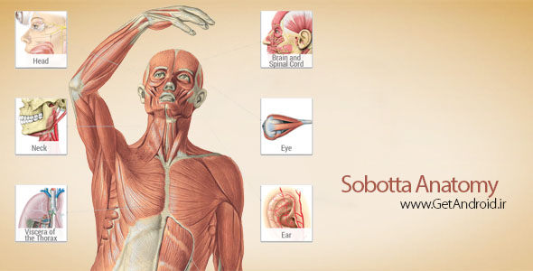 دانلود Sobotta Anatomy Atlas 2.9.4 نرم افزار آناتومی و تشریح بدن انسان برای اندروید
