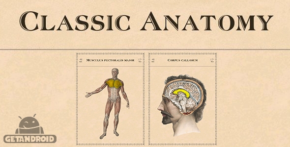 دانلود Classic Anatomy v1.1.6 - برنامه آناتومی کلاسیک برای اندروید