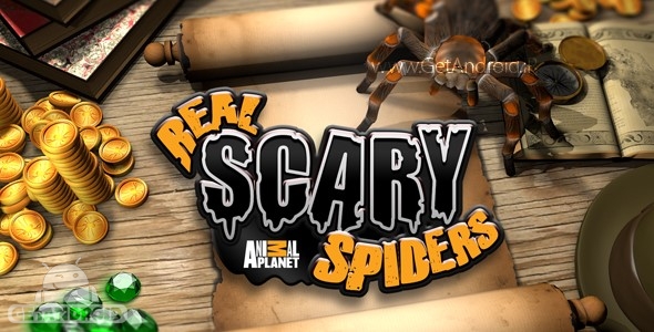 دانلود Real Scary Spiders 1.3.3 بازی نگهداری از عنکبوت ها اندروید
