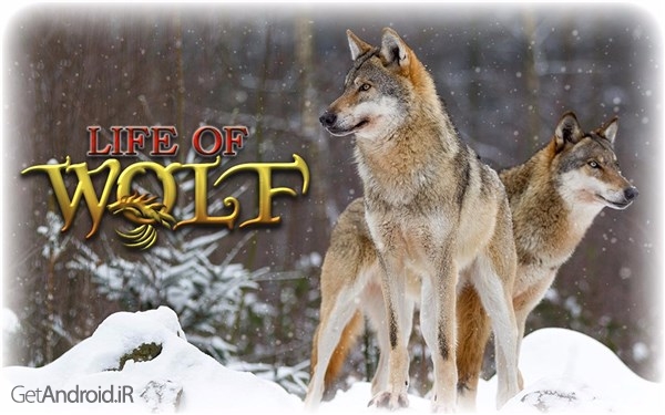 دانلود Wolf Life Simulation 2017 v1.0 بازی شبیه سازی زندگی گرگها 2017 اندروید