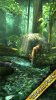 دانلود Forest HD v1.6.1 - لایو والپیپر اچ دی جنگل برای اندروید