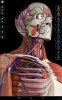 دانلود Essential Anatomy 3 v1.1.3 - برنامه بینظیر آناتومی برای اندروید