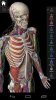 دانلود Essential Anatomy 3 v1.1.3 - برنامه بینظیر آناتومی برای اندروید