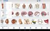 دانلود Human Anatomy Atlas from Visible Body 7.4.03 - برنامه بینظیر اطلس آناتومی انسان برای اندروید + دیتا