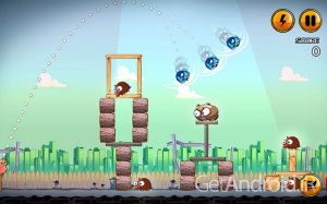 دانلود Angry Cats 1.0.11 - بازی گربه‌های عصبانی برای اندروید
