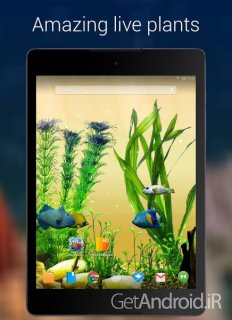 دانلود Aquarium 3D Live Wallpaper Pro 1.7.0 لایو والپیپر سه بعدی آکواریوم ماهی اندروید