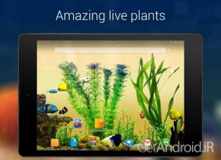 دانلود Aquarium 3D Live Wallpaper Pro 1.7.0 لایو والپیپر سه بعدی آکواریوم ماهی اندروید