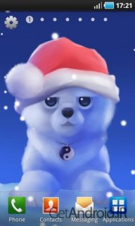 دانلود Polar Chub v1.2.0 - لایو والپیپر خرس قطبی برای اندروید