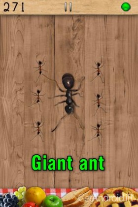 دانلود بازی Ant Smasher اندروید