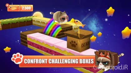 دانلود Kitty in the Box 1.5.4 بازی کیتی در جعبه اندروید