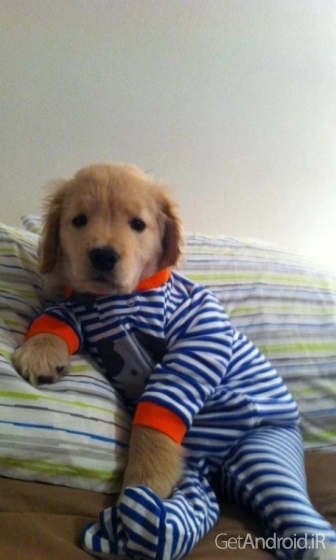 دانلود MyGlass 3.5.8 برنامه عینک من گوگل گلس اندروید