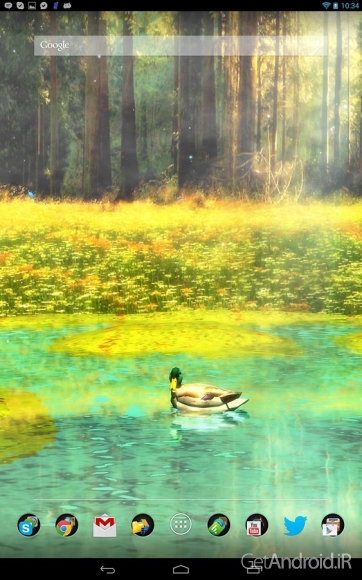 دانلود Ducks 3D Live Wallpaper FULL v1.4.2 - لایو والپیپر سه بعدی مرغابیها برای اندروید