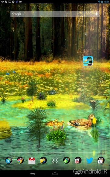 دانلود Ducks 3D Live Wallpaper FULL v1.4.2 - لایو والپیپر سه بعدی مرغابیها برای اندروید