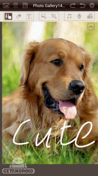 دانلود Photo Gallery & Album v1.6.3 - برنامه گالری عکس اندروید