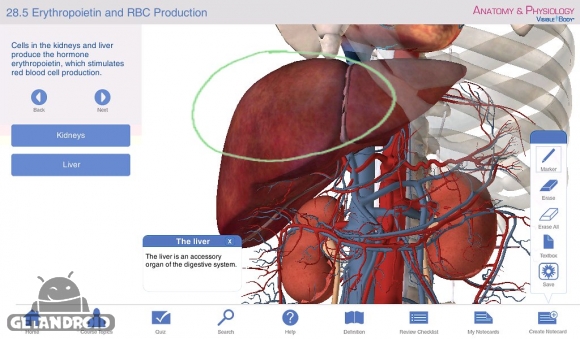 دانلود برنامه Anatomy Physiology اندروید