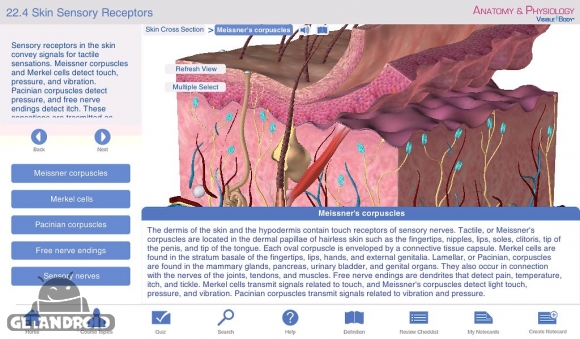 دانلود برنامه Anatomy Physiology اندروید