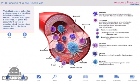 دانلود برنامه Anatomy Physiology اندروید