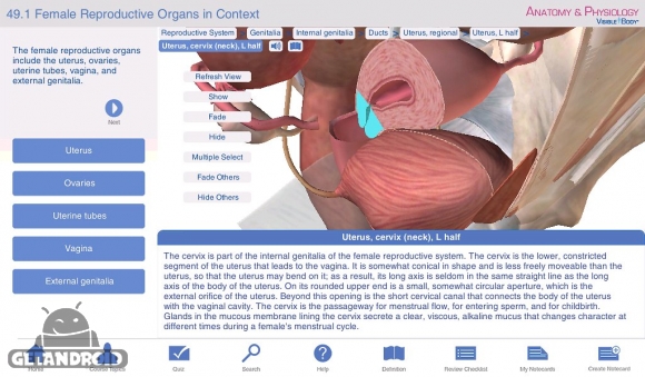دانلود برنامه Anatomy Physiology اندروید