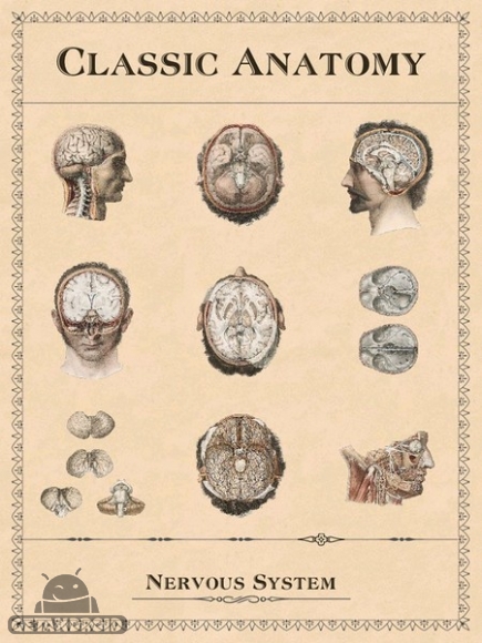 دانلود Classic Anatomy v1.1.6 - برنامه آناتومی کلاسیک برای اندروید