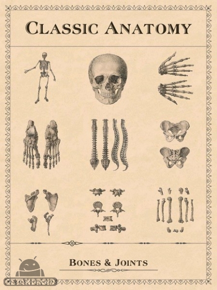 دانلود Classic Anatomy v1.1.6 - برنامه آناتومی کلاسیک برای اندروید