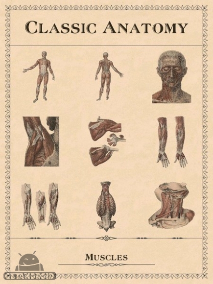 دانلود Classic Anatomy v1.1.6 - برنامه آناتومی کلاسیک برای اندروید
