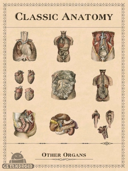 دانلود Classic Anatomy v1.1.6 - برنامه آناتومی کلاسیک برای اندروید