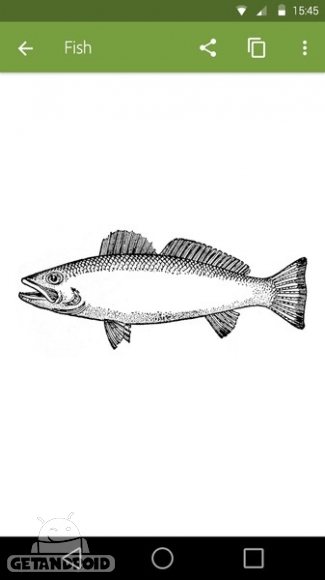 دانلود Adobe Shape CC 1.3 - برنامه تبدیل تصاویر به اشکال وکتور برای اندروید