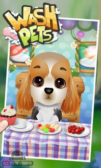 دانلود بازی Wash Pets اندروید