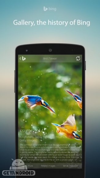 دانلود برنامه Microsoft Bing Search اندروید