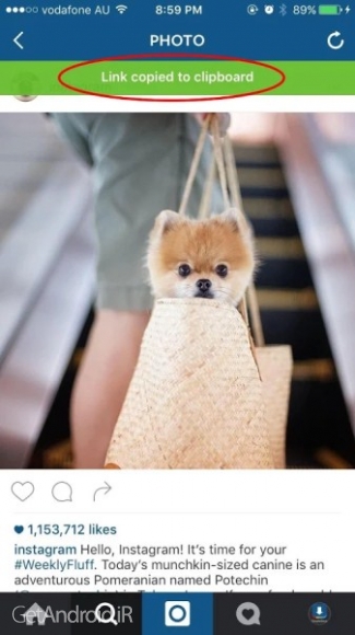 دانلود نرم افزار ذخیره فیلم و عکس از اینستاگرام اندروید