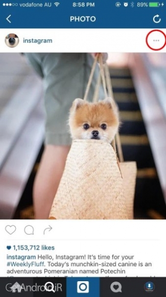 دانلود برنامه ذخیره فیلم و عکس از اینستاگرام اندروید