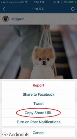 دانلود نرم افزار Video Downloader for Instagram اندروید