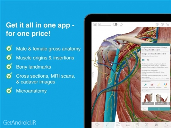 دانلود Human Anatomy Atlas 2023 اندروید
