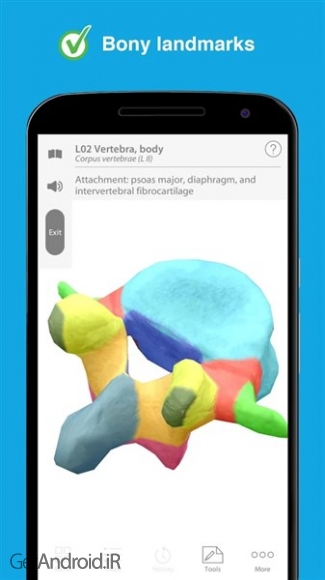 دانلود نرم افزار Human Anatomy Atlas 2023 اندروید