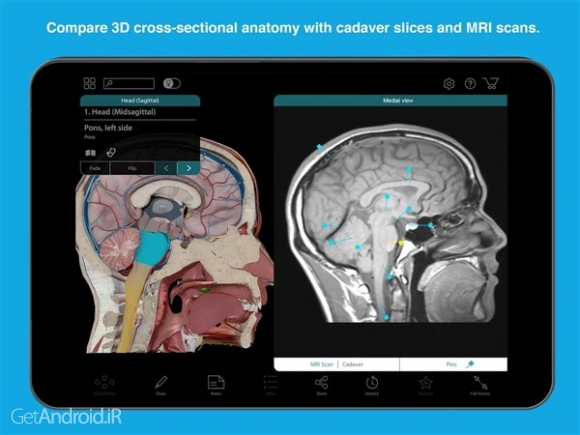 دانلود برنامه Human Anatomy Atlas 2023 اندروید