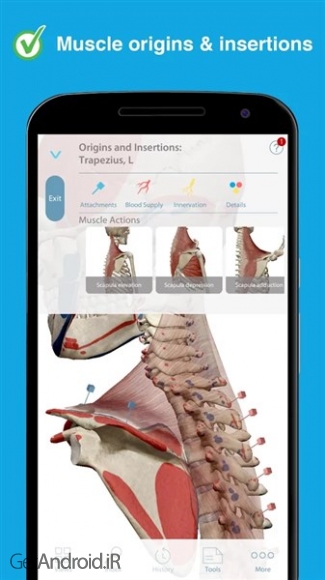 دانلود برنامه Human Anatomy Atlas 2023 اندروید