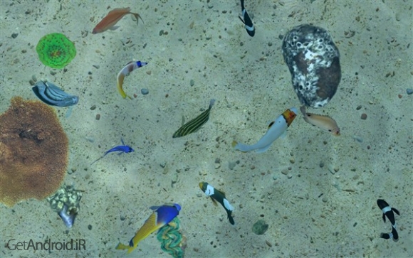 دانلود بازی Fish Farm 3 اندروید