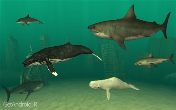 دانلود بازی Fish Farm 3 اندروید