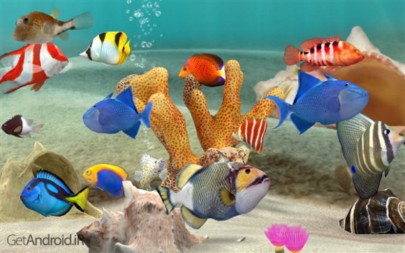 دانلود بازی Fish Farm 3 اندروید