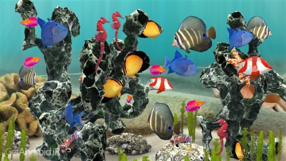 دانلود بازی Fish Farm 3 اندروید