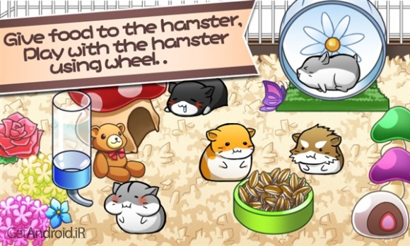دانلود بازی Hamster Life اندروید