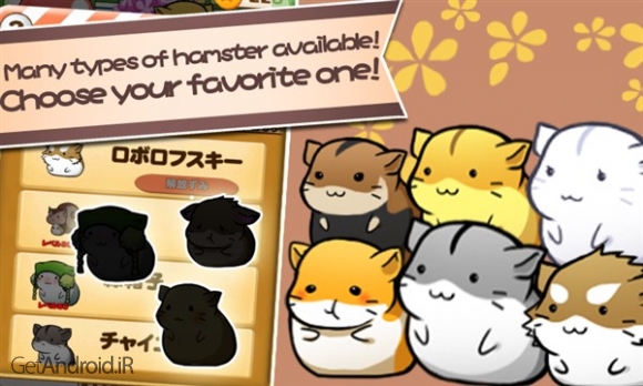 دانلود بازی Hamster Life اندروید