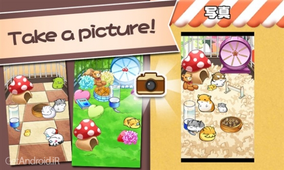 دانلود بازی Hamster Life اندروید